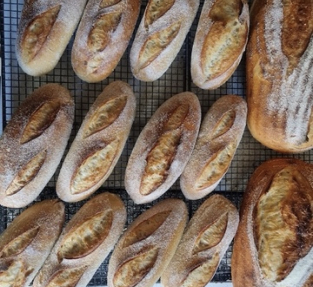 Freshly baked baguettes with hand-scored crusts on a wire cooling rack