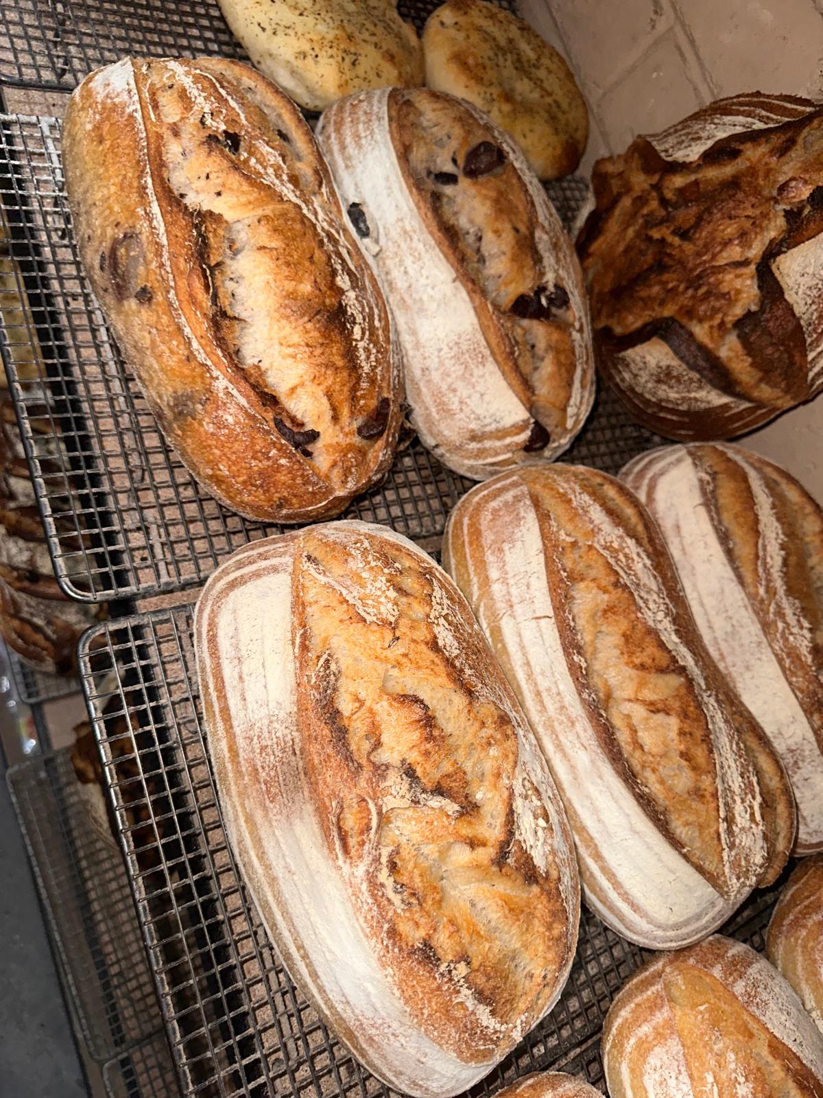 Assorted oval artisan sourdough loaves resting on baker's cooling racks
