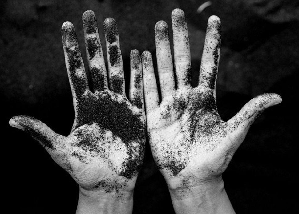 Hands holding soil — original SA Bakery Supplies photograph