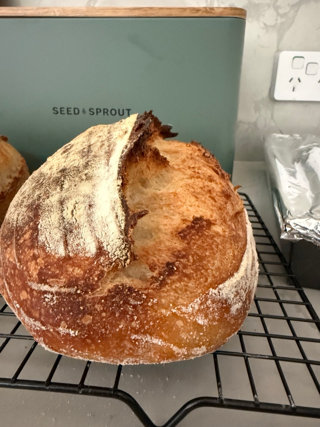 Your Sourdough Starter Is Not a Clock: How to Read Fermentation