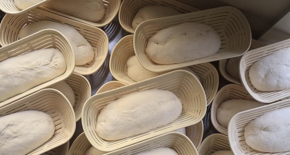 A collection of oval plastic bannetons holding shaped flour-dusted sourdough loaves ready for proofing